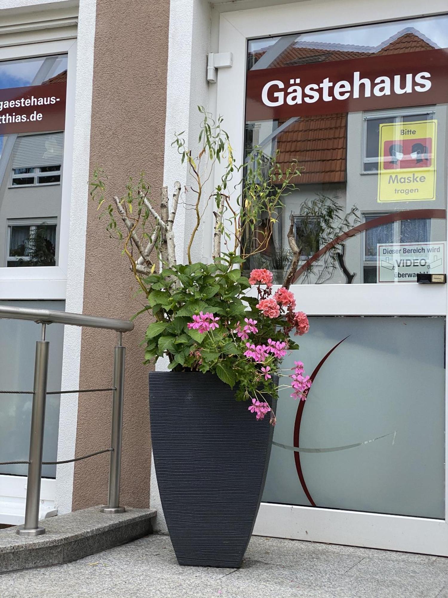 Apartments Und Zimmer Gaestehaus Matthias Dresden Exterior photo